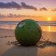 optimal coconut water timing