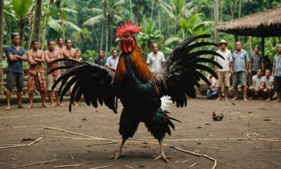 legal aspects of cockfighting