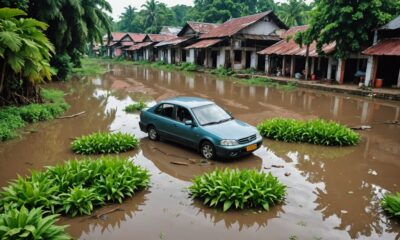 unique flood clean water